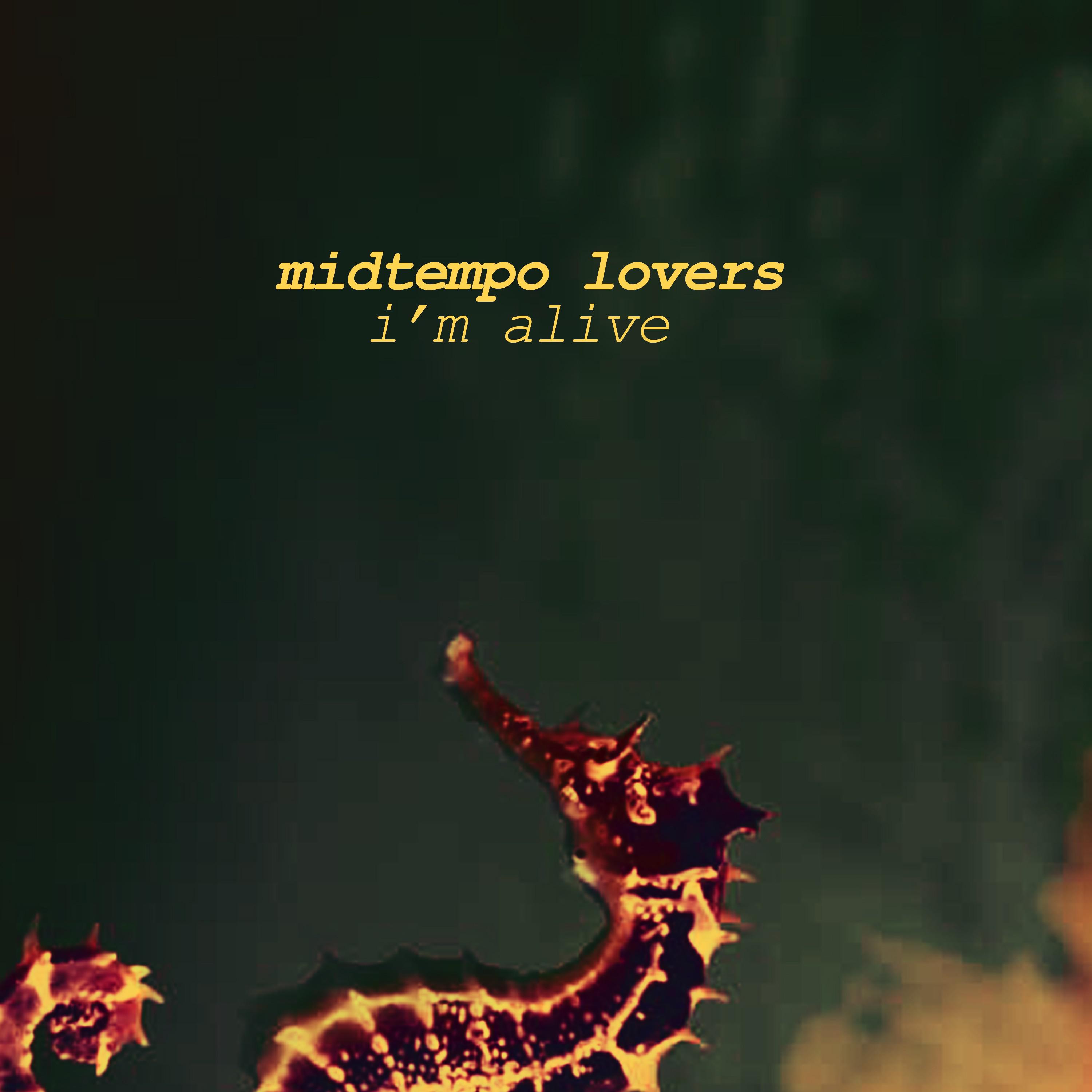 Midtempo Lovers - Designed by Nature
