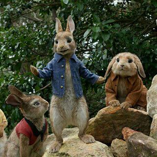 Peter Rabbit