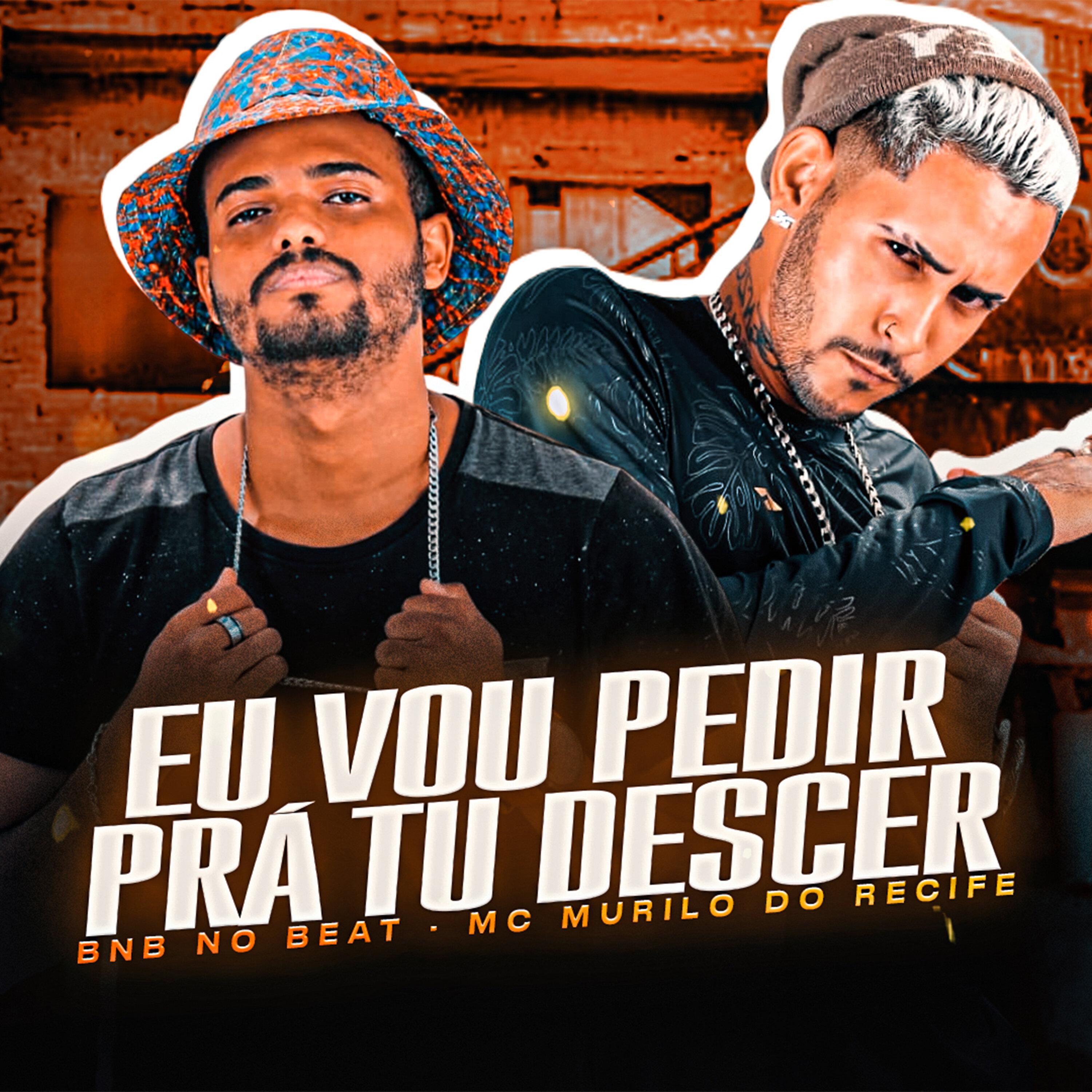 Mc Murilo do Recife - Vou Pedir pra Tu Descer