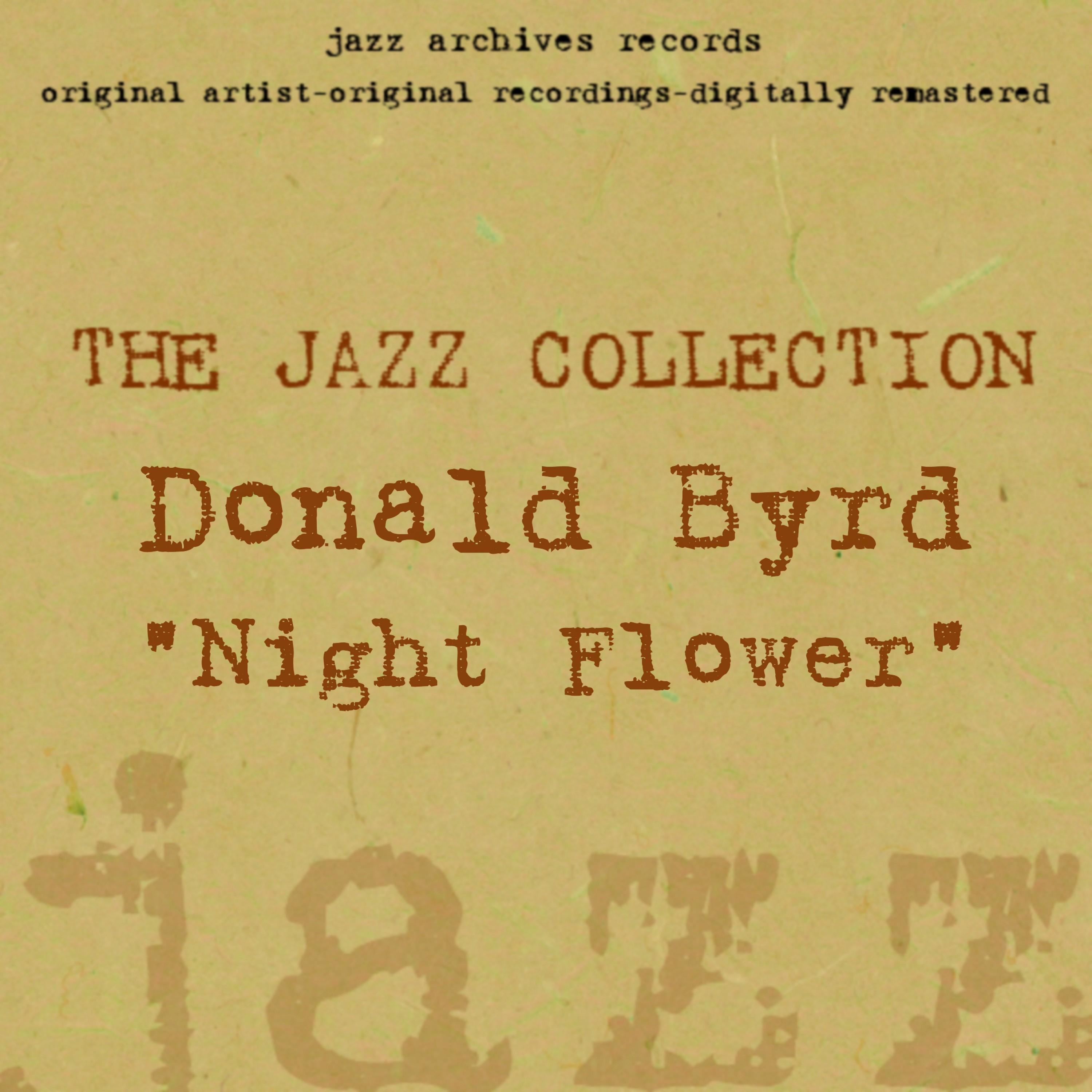 Night Flower