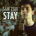 Stay - Single