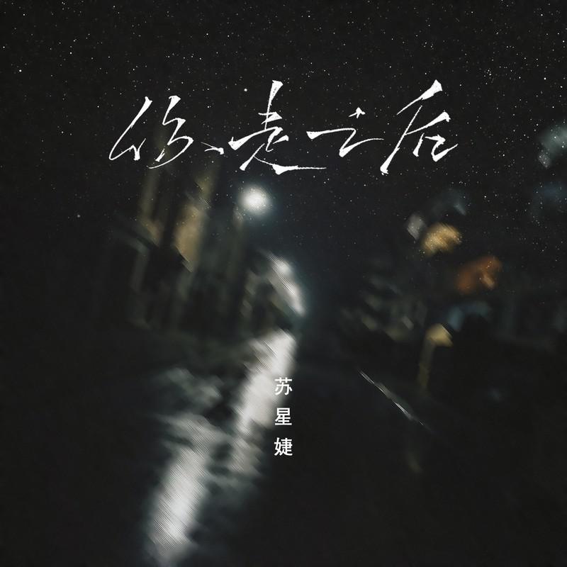 你走之后 (DJAh版)