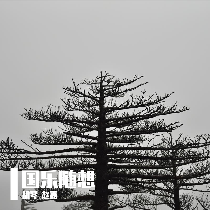 风居住的街道（二胡版）