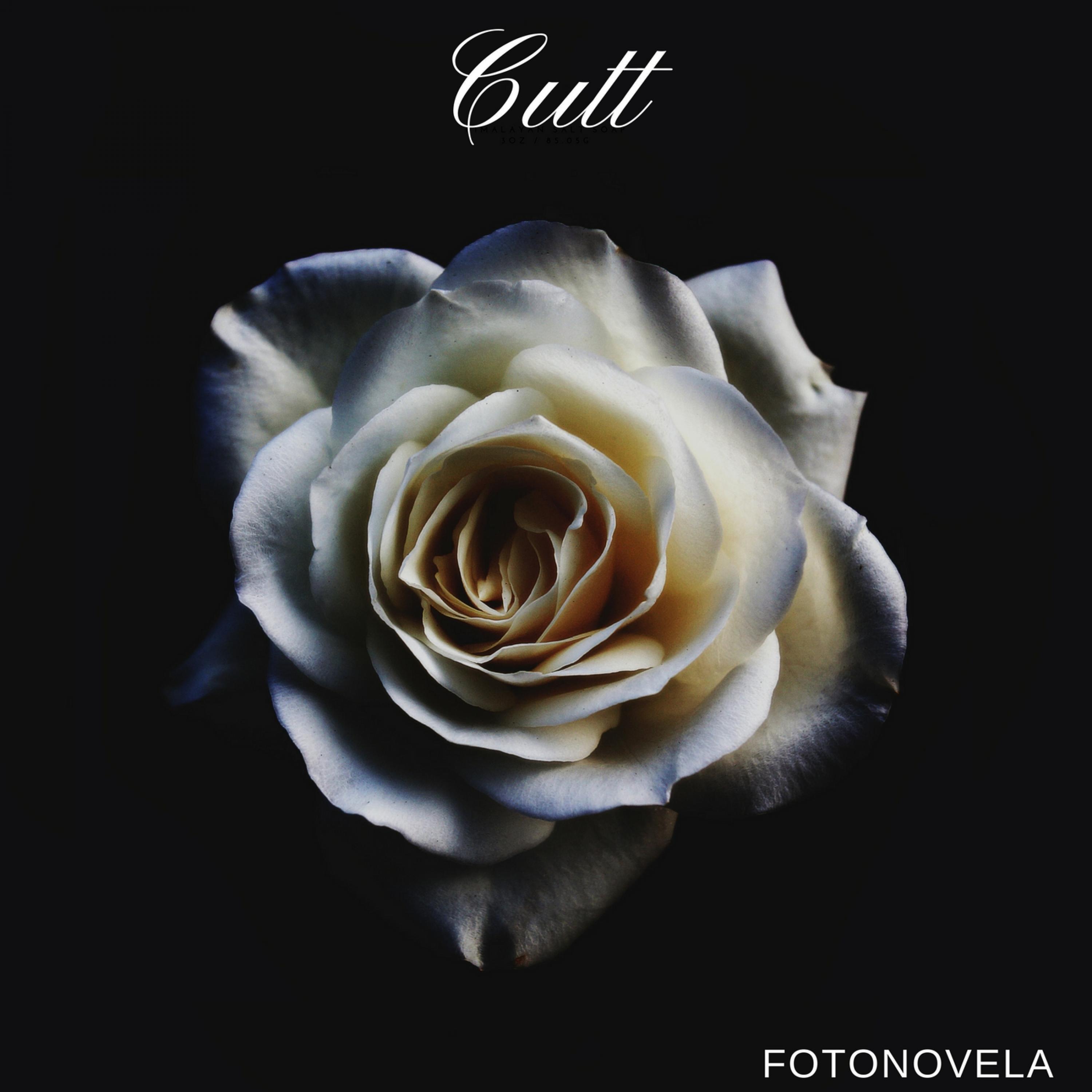 Fotonovela