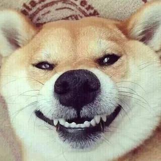 萌系纯音乐，欢快的旋律