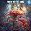 Neo Shaman - Light in the Darkness (Original Mix)