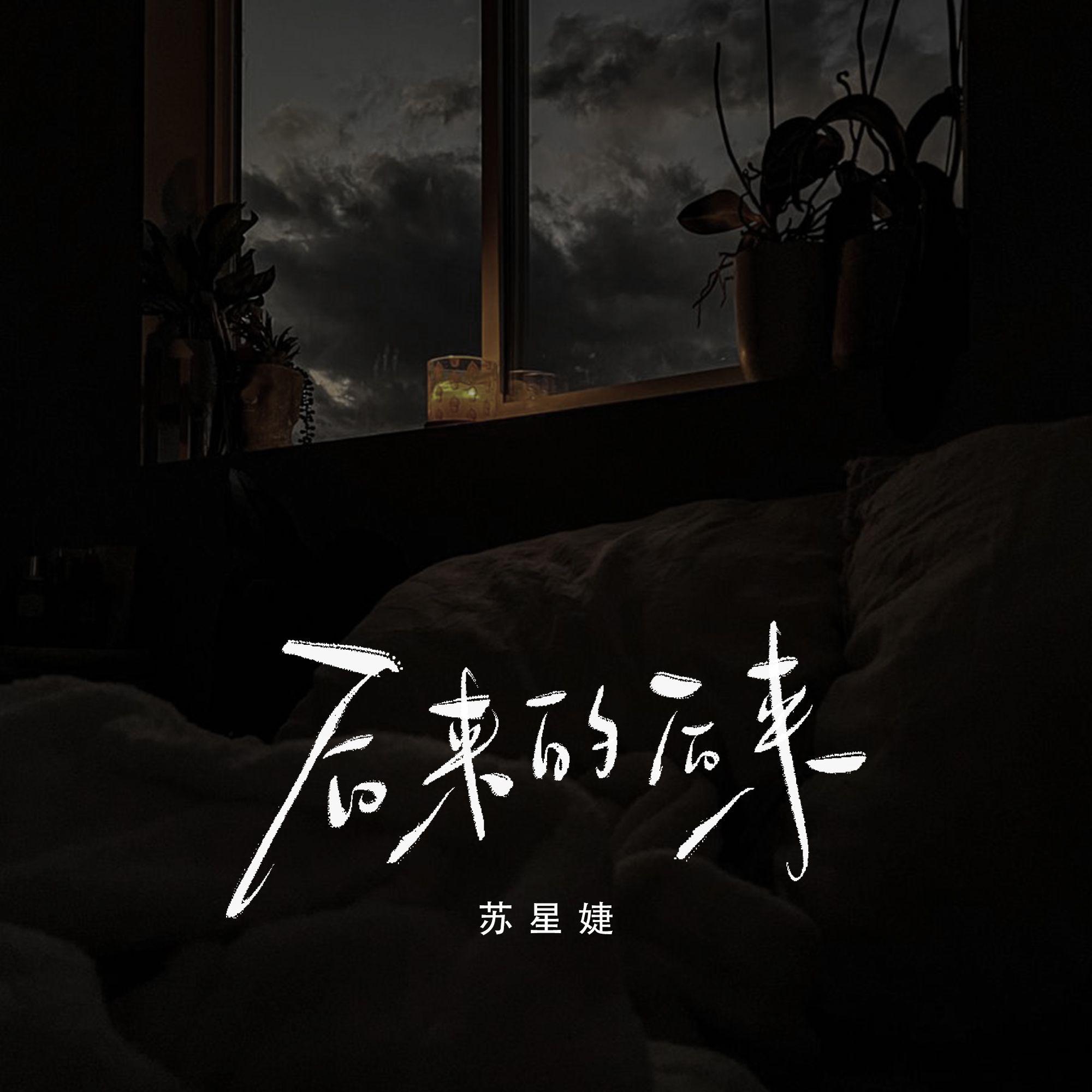 后来的后来专辑