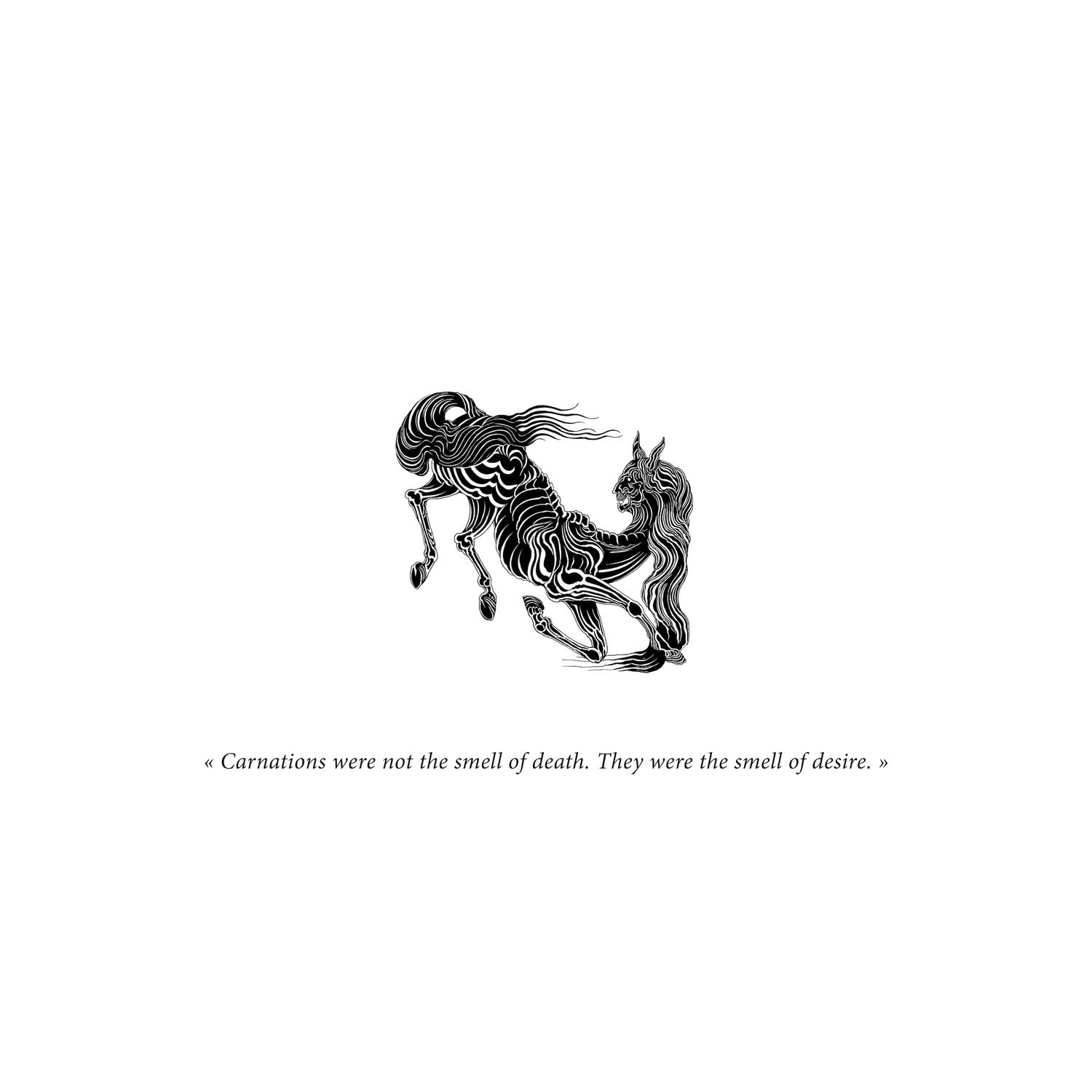 Carnations Were Not the Smell of Death. They Were the Smell of Desire