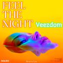 Feel The Night