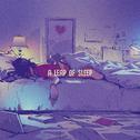 a leap of sleep专辑