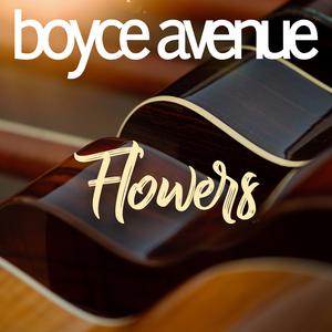 Boyce Avenue - Flowers (Pre-V) 带和声伴奏 （降2半音）
