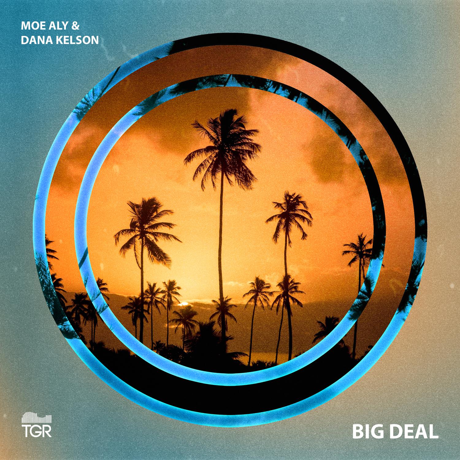 Moe Aly - Big Deal