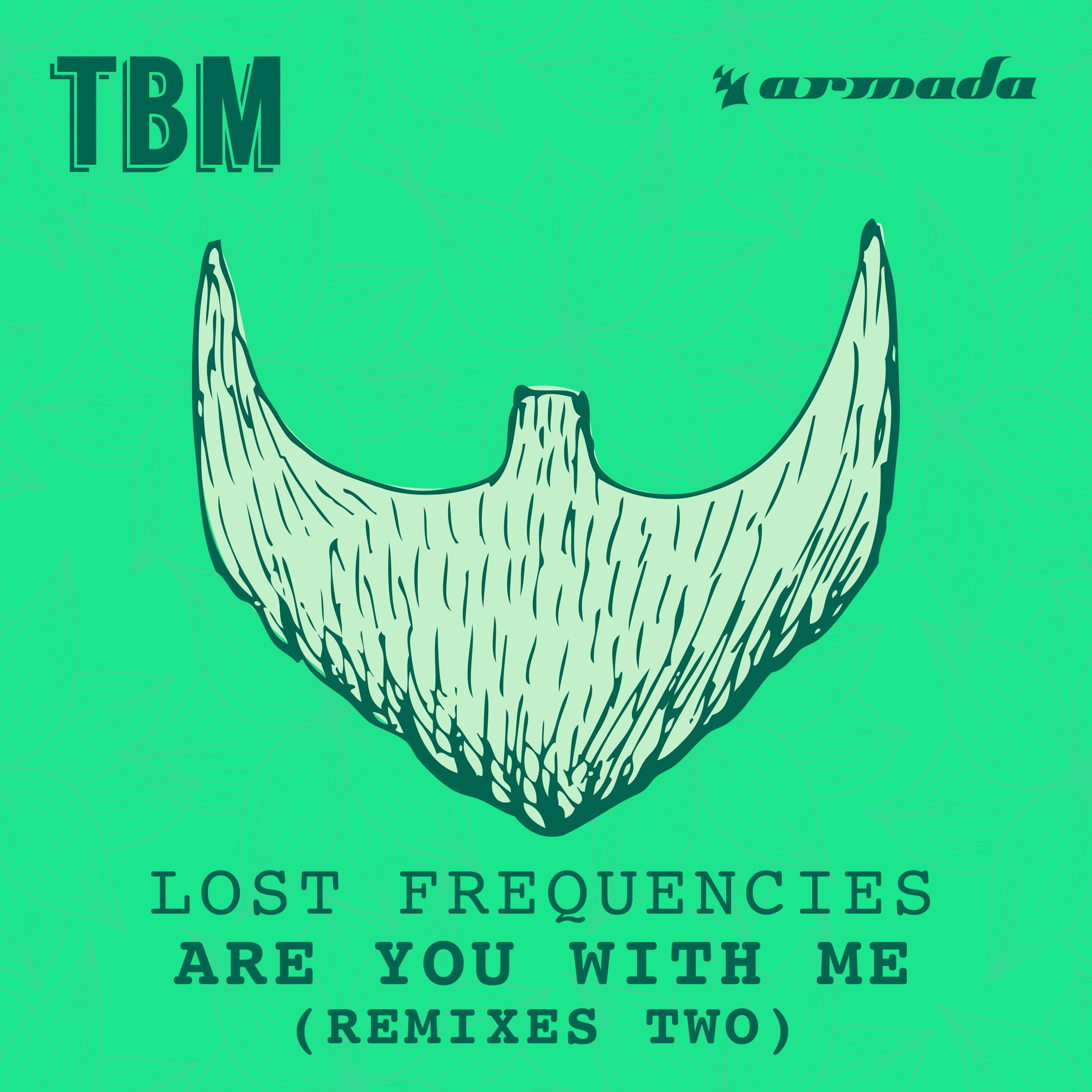Lost Frequencies - Are You With Me (Mandal & Forbes Sunset Remix)