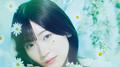 Wish for you专辑