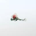 泥與花 Mud and Flowers — X-mas Live 2025