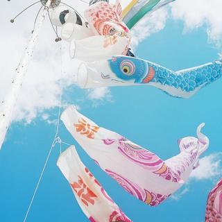 四季の歌·春花 秋月 夏日 冬雪
