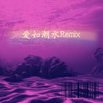 爱如潮水Remix专辑