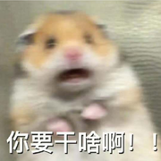 鱼坝