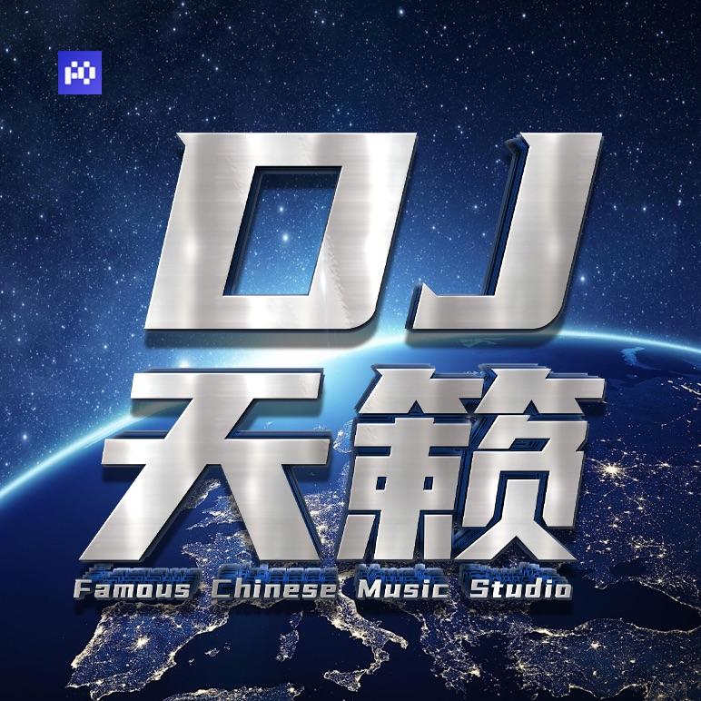 Dj天籁-国道318&意境之旅（DjHSM remix）