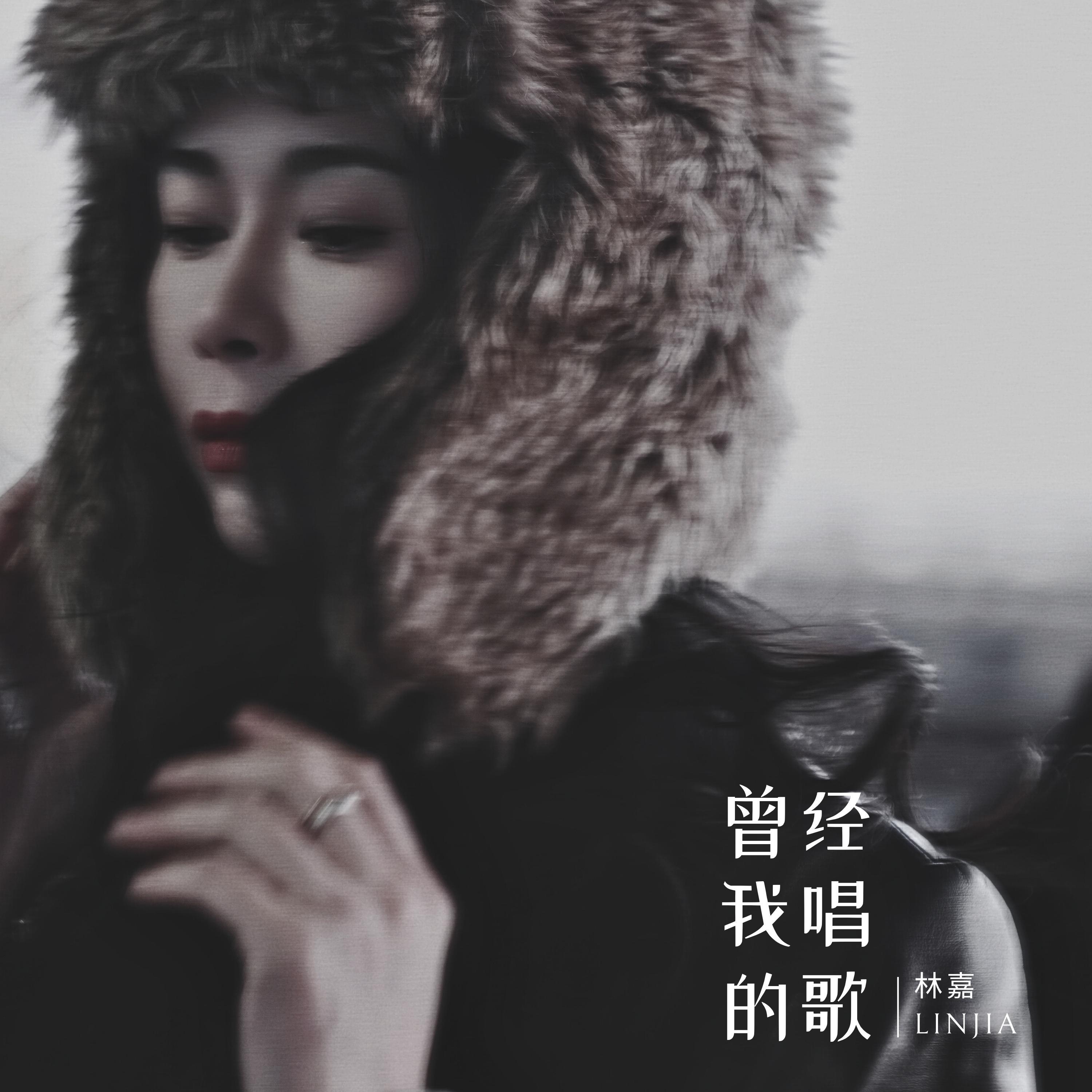 曾经我唱的歌