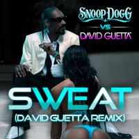 Snoop Dogg - Sweat (Mes Amis, Saminsiki, Dj Tallboy Edit) 155