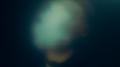 ALIEN专辑
