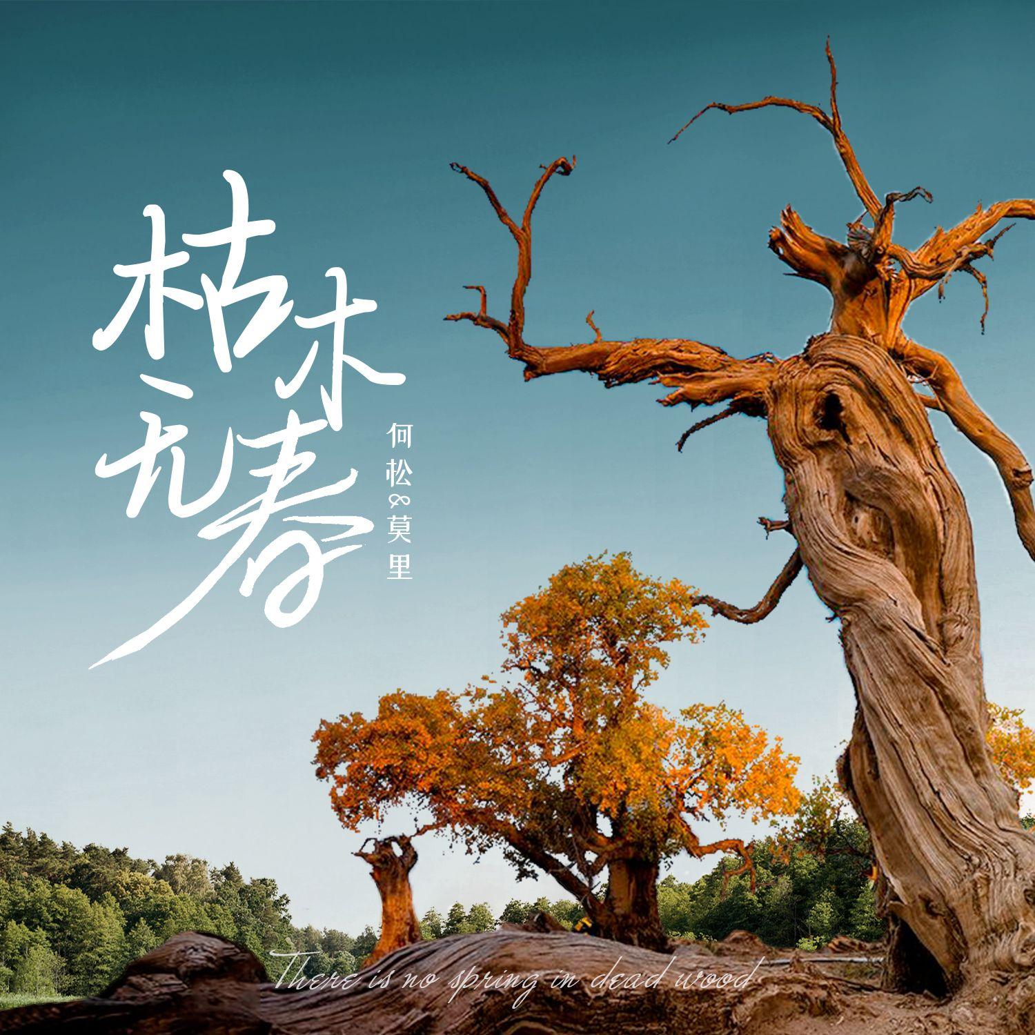 枯木无春
