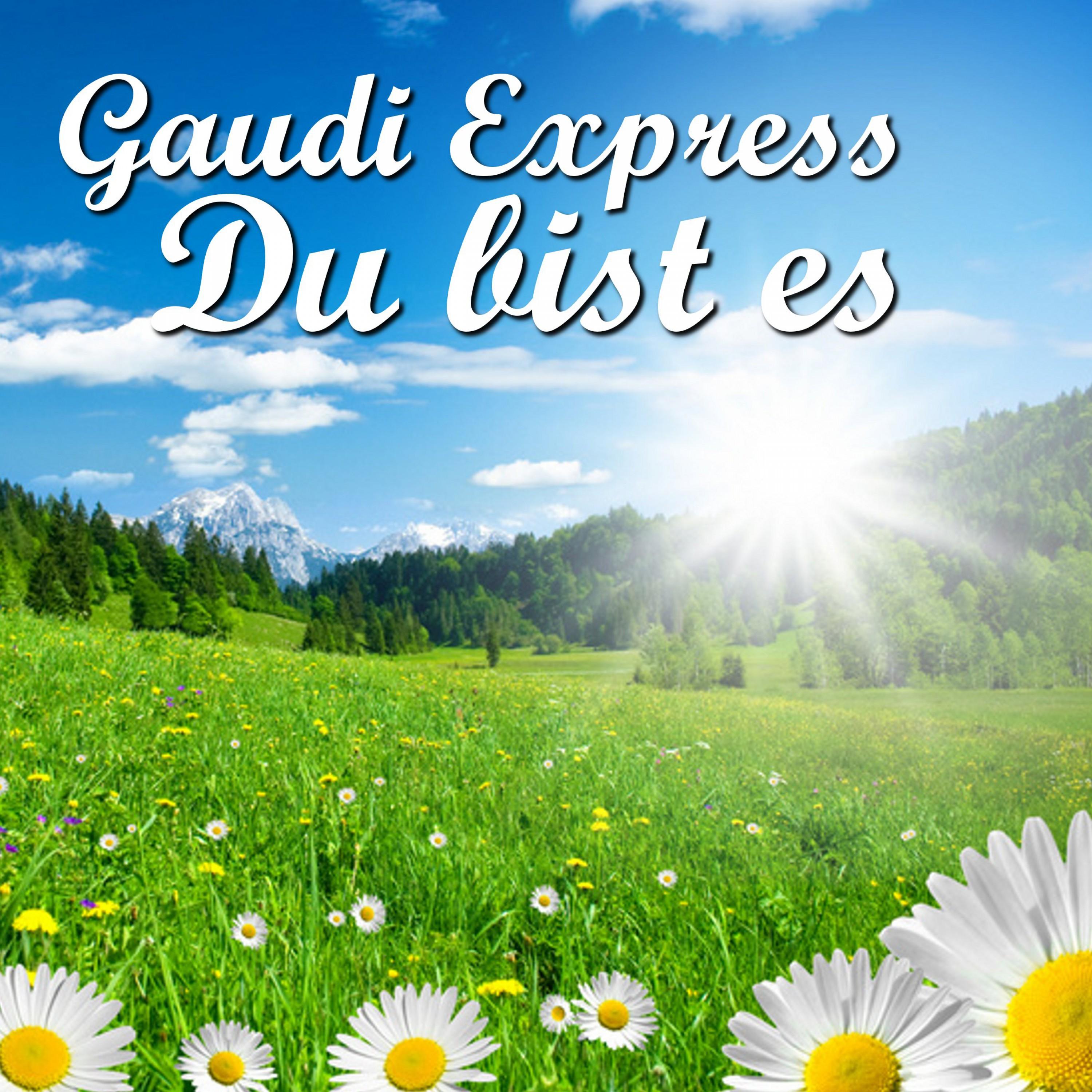 Du bist es