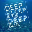 Deep Sleep in the Deep Blue专辑