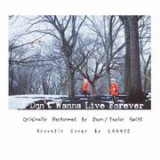 I Don't Wanna Live Forever (Acoustic Cover)