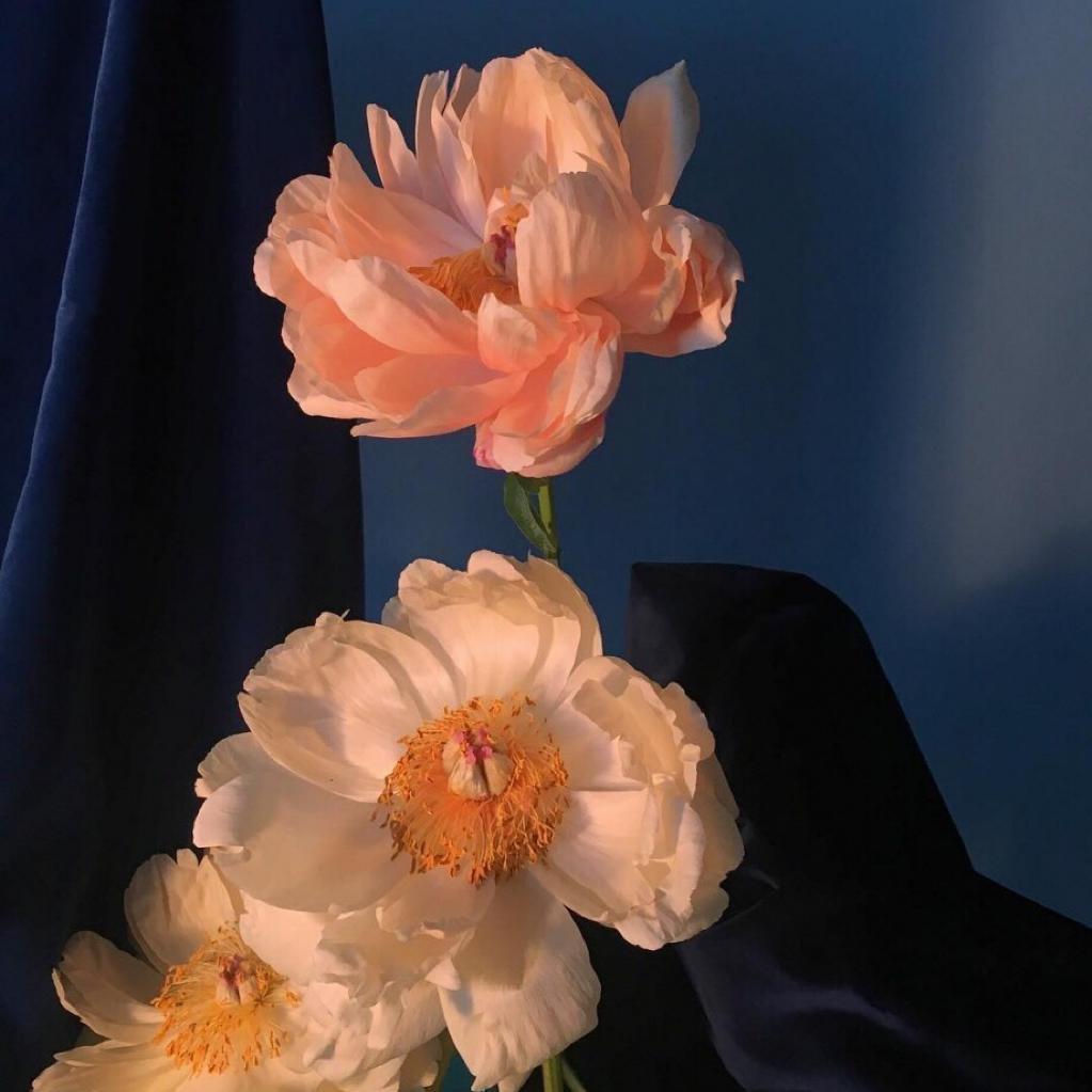 花 店 老 板 私 藏