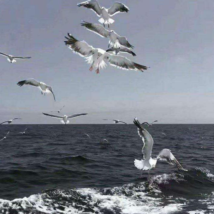 Yuxurmigin Siringni