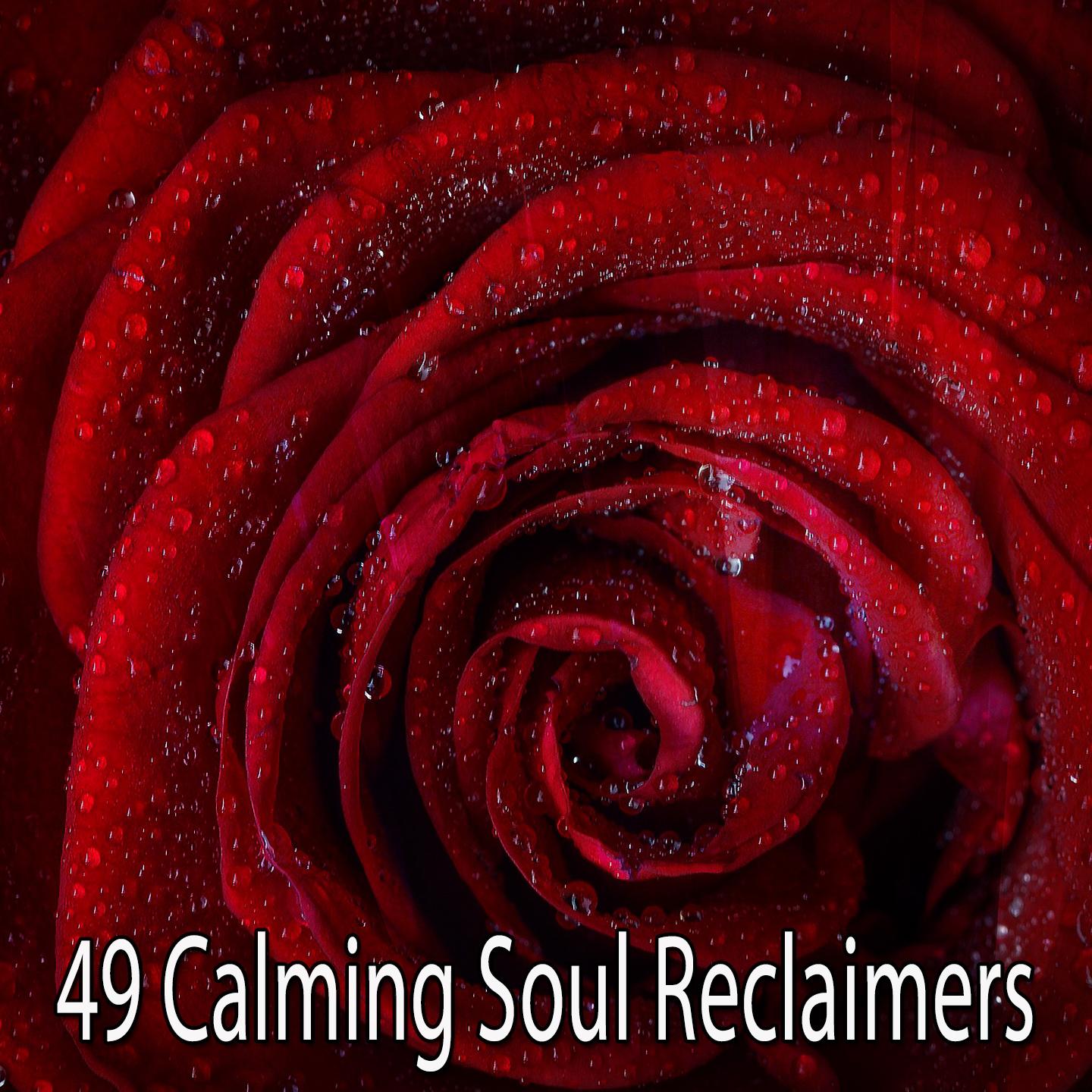 49 Calming Soul Reclaimers专辑