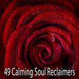 49 Calming Soul Reclaimers