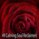 49 Calming Soul Reclaimers专辑