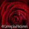 49 Calming Soul Reclaimers专辑