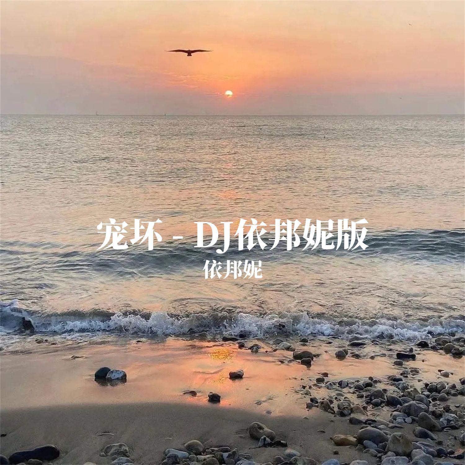 宠坏（DJ依邦妮版）