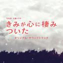 TBS系 火曜ドラマ きみが心に棲みついた オリジナル・サウンドトラック专辑