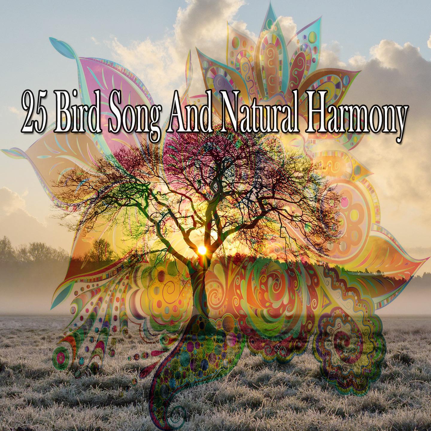 舒缓宁静的灵魂