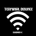 Terminal Bounce专辑