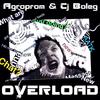 CJ Boleg - Overload (Original Mix)