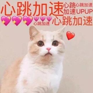 原耽牛逼！同人·原创·广播剧相关