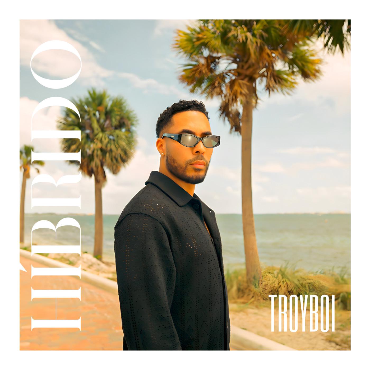 TroyBoi - Híbrido