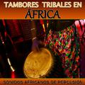 Tambores Tribales en África. Sonidos Africanos de Percusión 