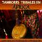 Tambores Tribales en África. Sonidos Africanos de Percusión 专辑