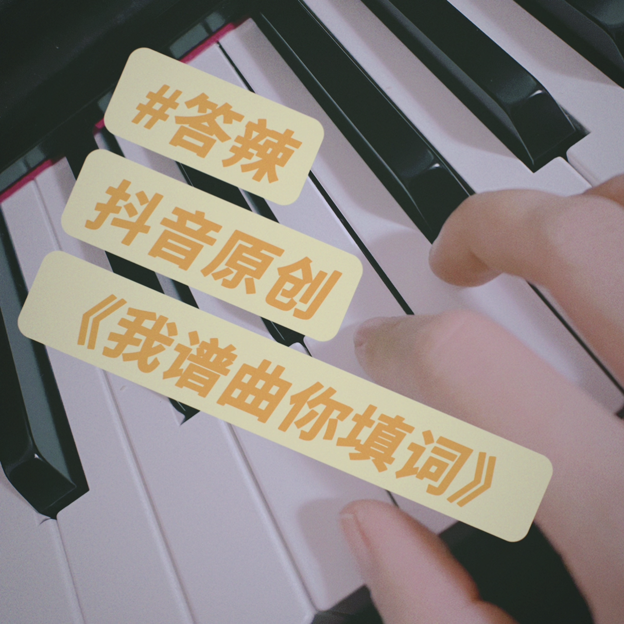 我谱曲 你填词