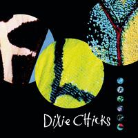 Without You - Dixie Chicks