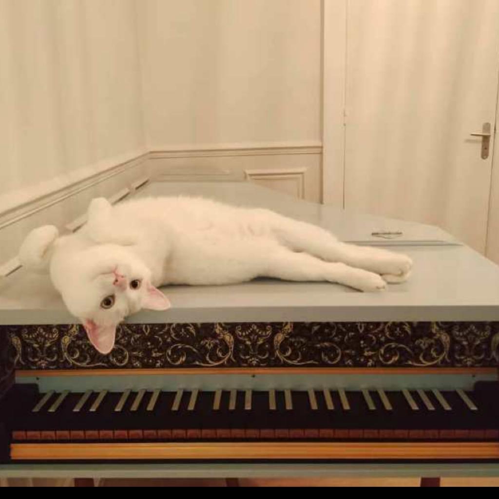羽管键琴集 Harpsichord [更]