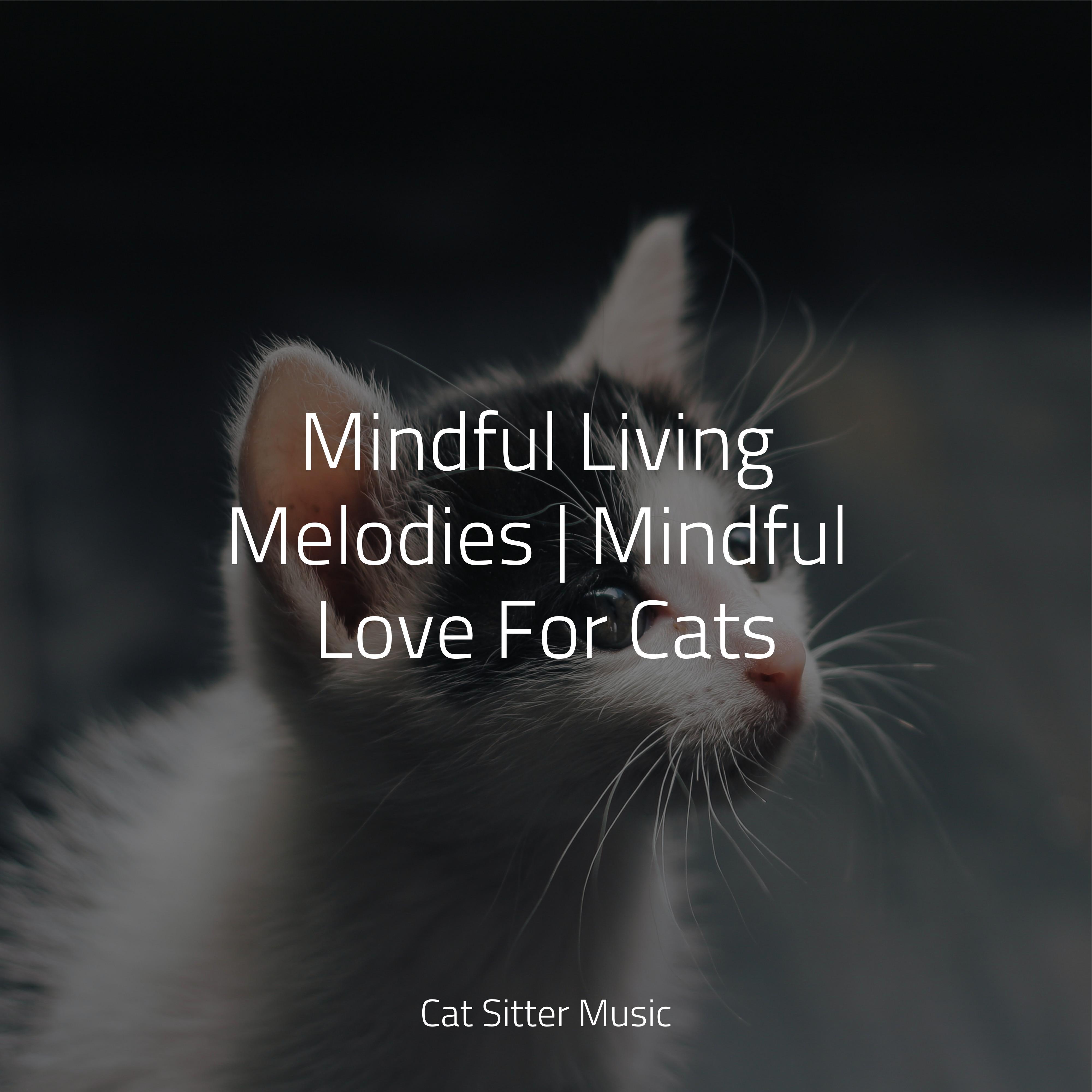 Music for Cats TA - Karma Flows