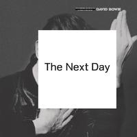 The Next Day - David Bowie (unofficial Instrumental) 无和声伴奏